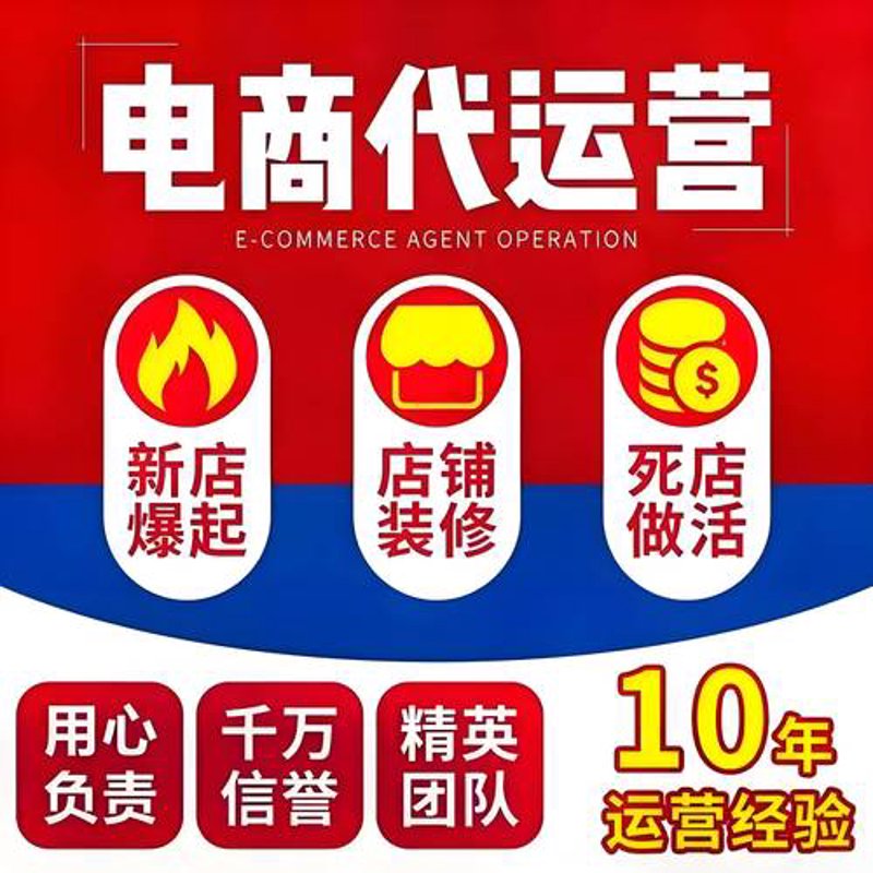 电商运营的精妙之道：案例解析与策略启示